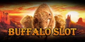 Read more about the article Buffalo Slot ဆိုတာဘာလဲ – Buffalo Slot Machine ကစားနည်းအပြည့်အစုံ